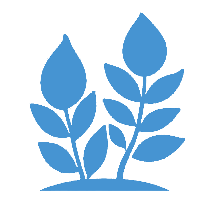 8a331f793159f9adf586e2a235f5e9e8.png